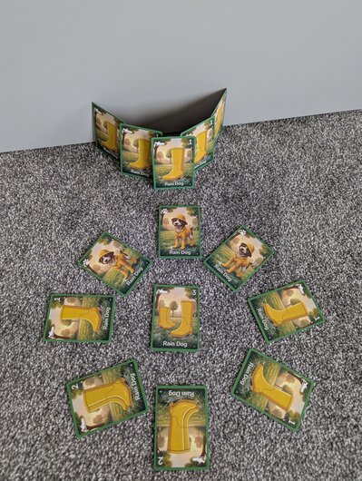 Physical game photo 5