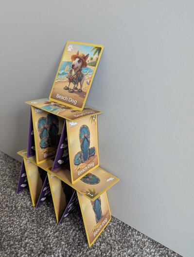 Physical game photo 6