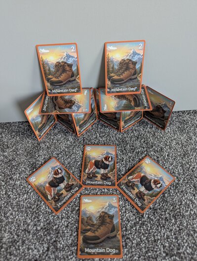 Physical game photo 7