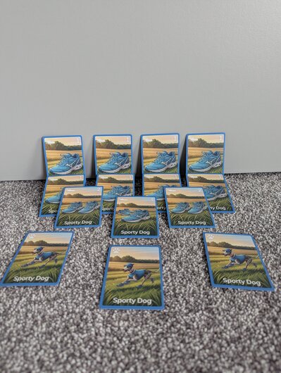 Physical game photo 8